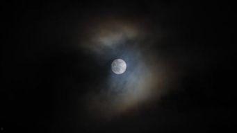 守得云开见月明,逆境中的希望与曙光