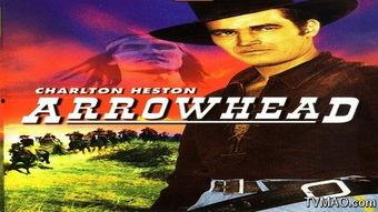 碧血丹盟,江湖情仇，英雄传奇